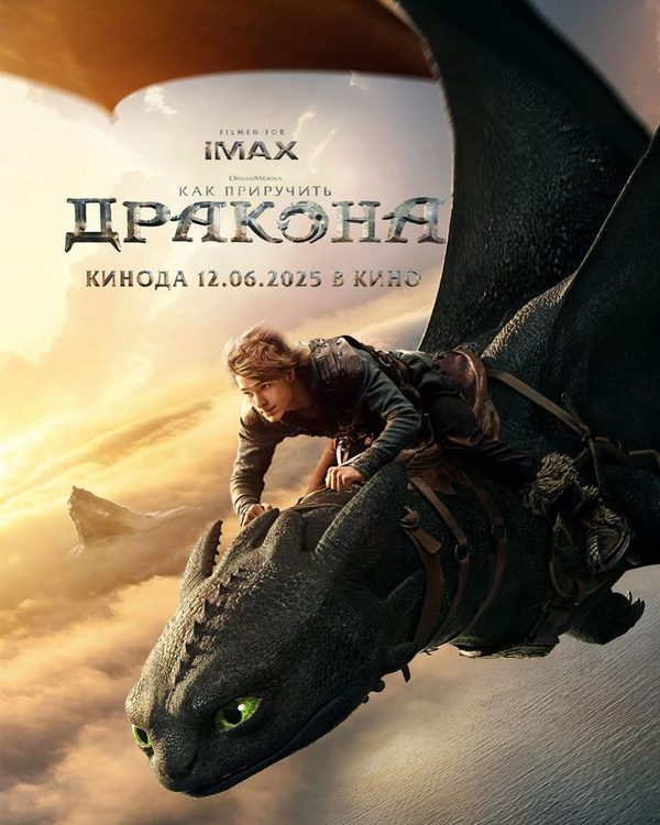 Как приручить дракона постер